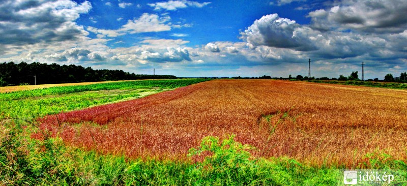 Hódmezővásárhely