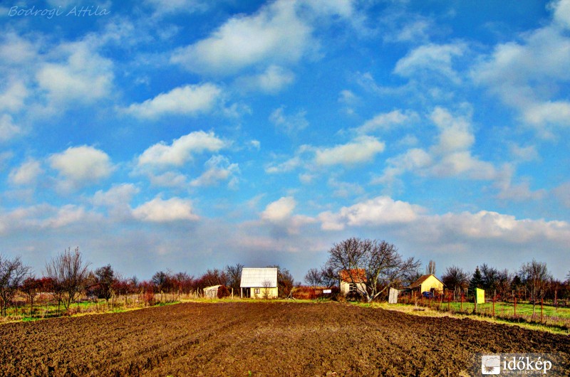 Hódmezővásárhely
