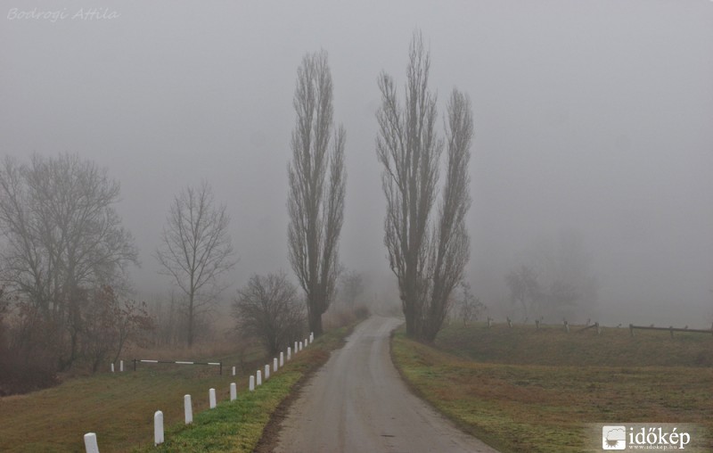 Hódmezővásárhely