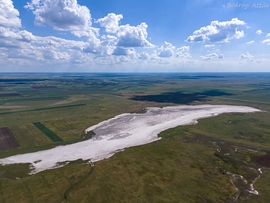 A Kardoskúti Fehér-tó
