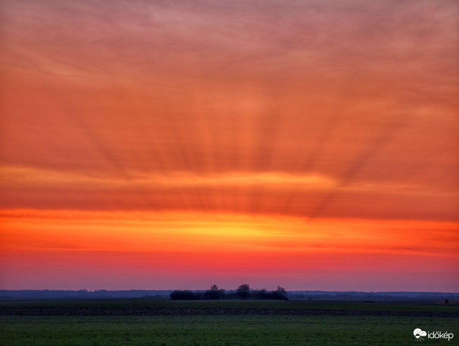 Hódmezővásárhely