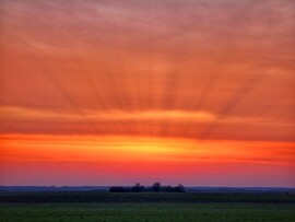 Hódmezővásárhely