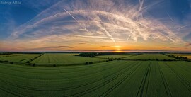 Hódmezővásárhely