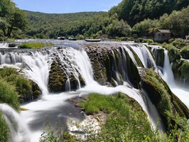 Ripač