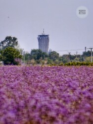 Hódmezővásárhely