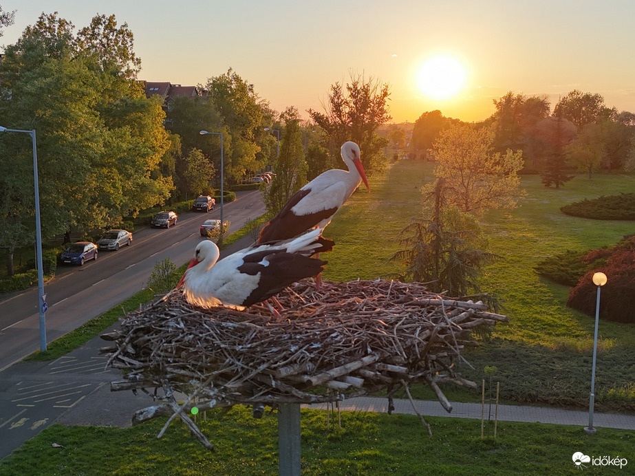 Hódmezővásárhely