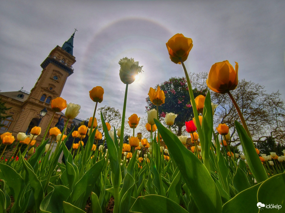 Hódmezővásárhely