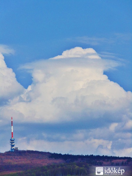 Pileus vagy velum?