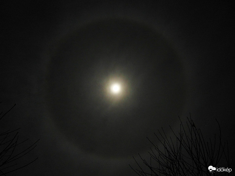 Holdhalo
