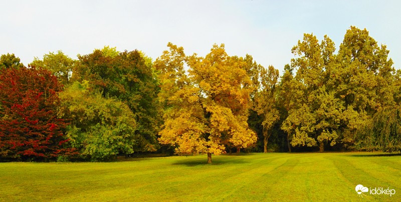 Autumn