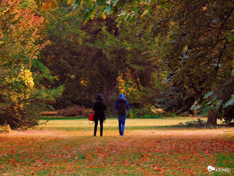 Az Arborétum nyugalmában