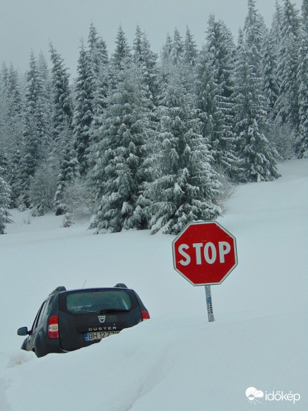 Stop