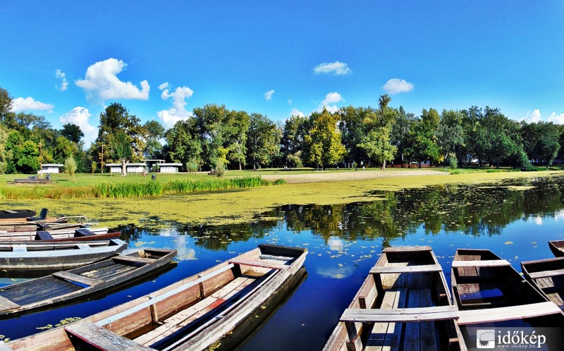 Őszi idill a holtág partján