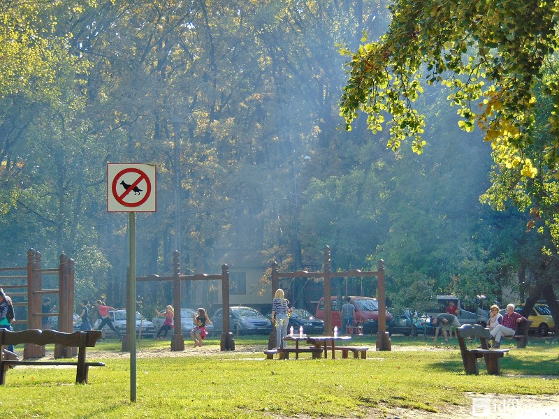 Késő délután Mártélyon