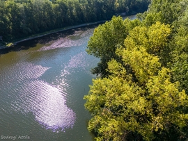 A Tisza mellett megjelentek az őszi színek