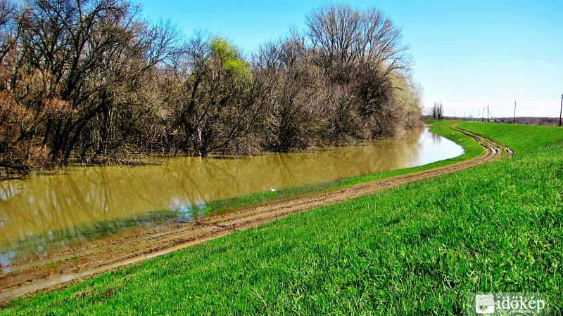 Lassan árad Tisza