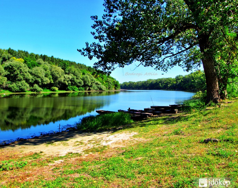 Kora ősz a körtvélyesi Tisza holtág partján