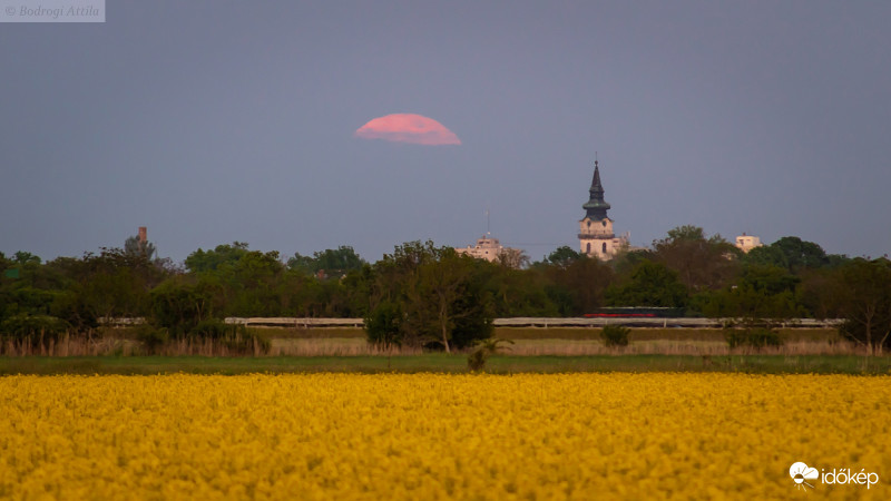 Kikukucskált