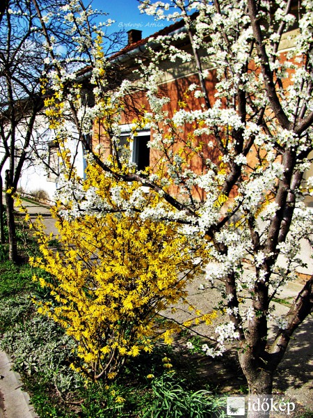 Tavaszi utcarészlet