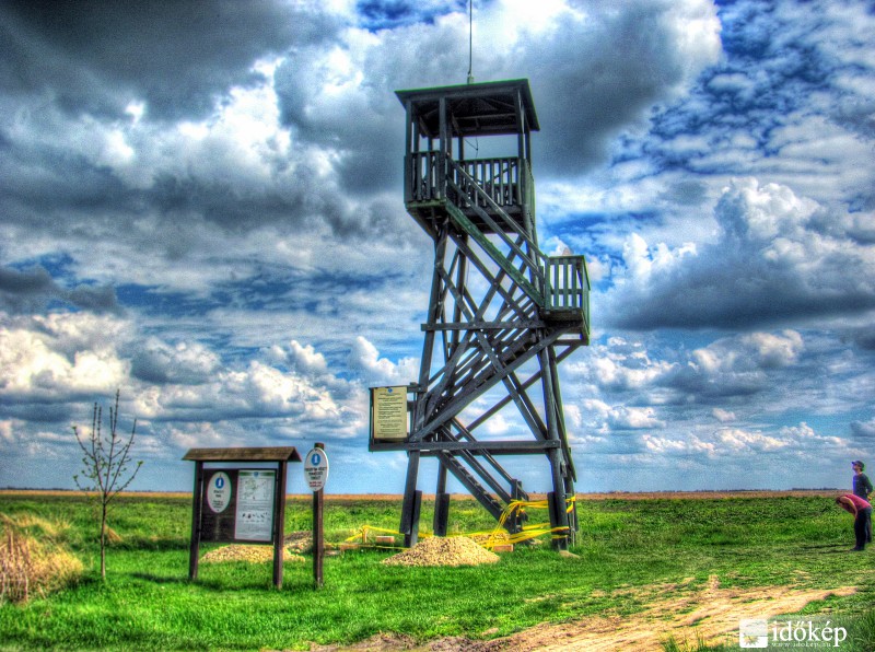 Madárles Kardoskútnál