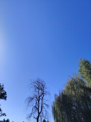 Gyulaj