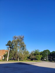 Gyulaj