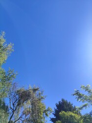 Gyulaj