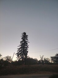 Gyulaj