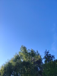 Gyulaj