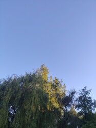 Gyulaj