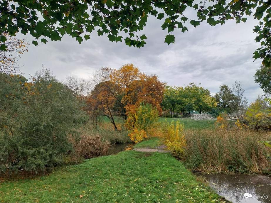 Szeged délelőtt.