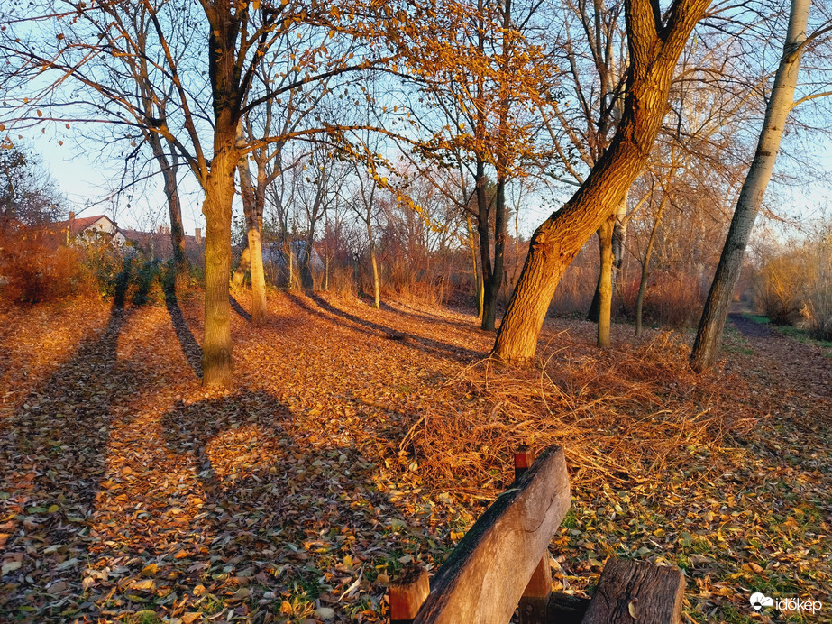 Szeged délután.