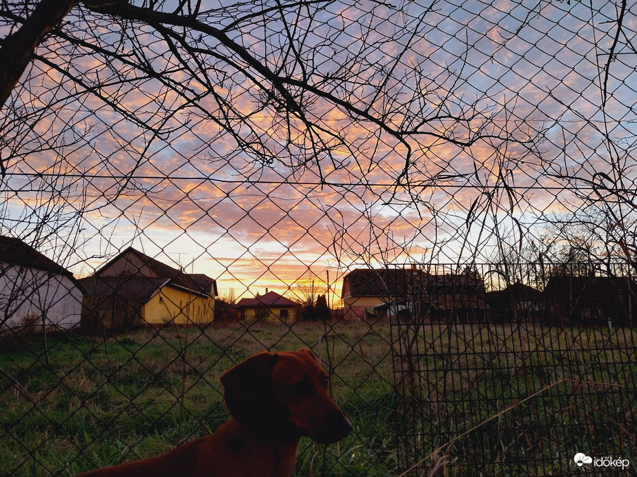 Naplemente Maroslele.