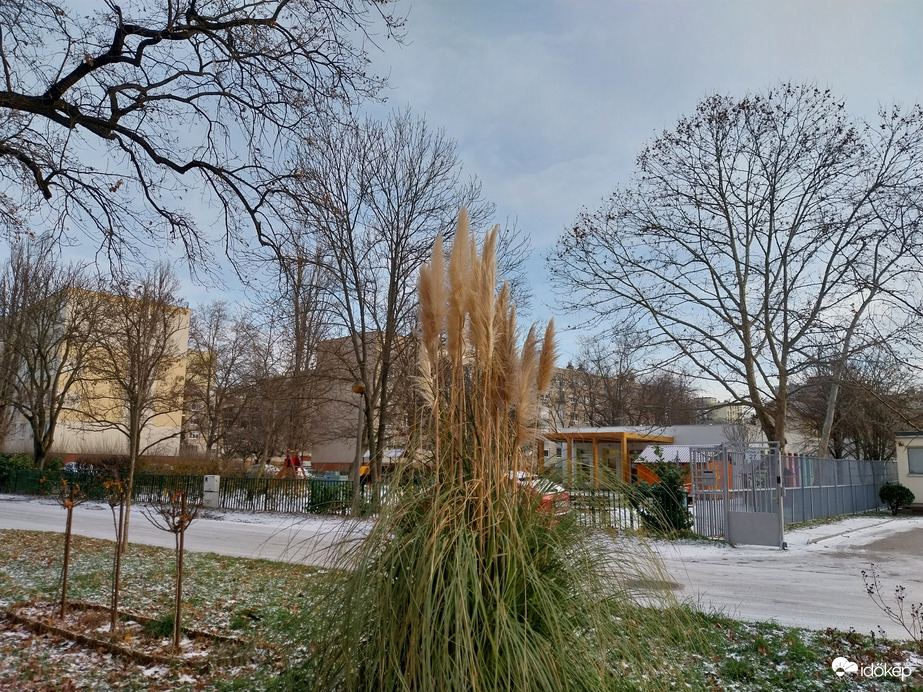 Szeged délelőtt.