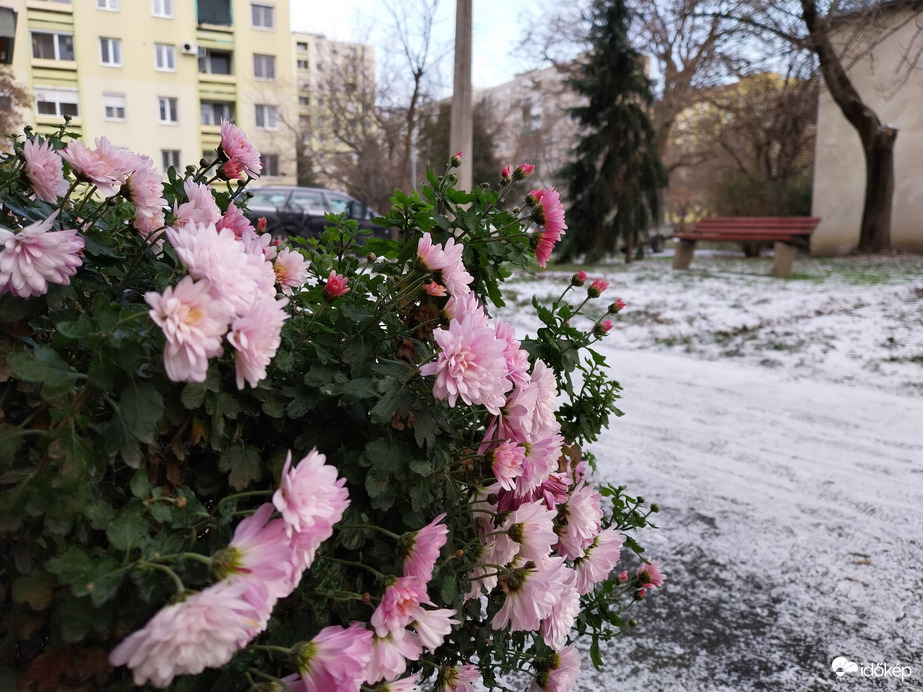 Szeged délelőtt.