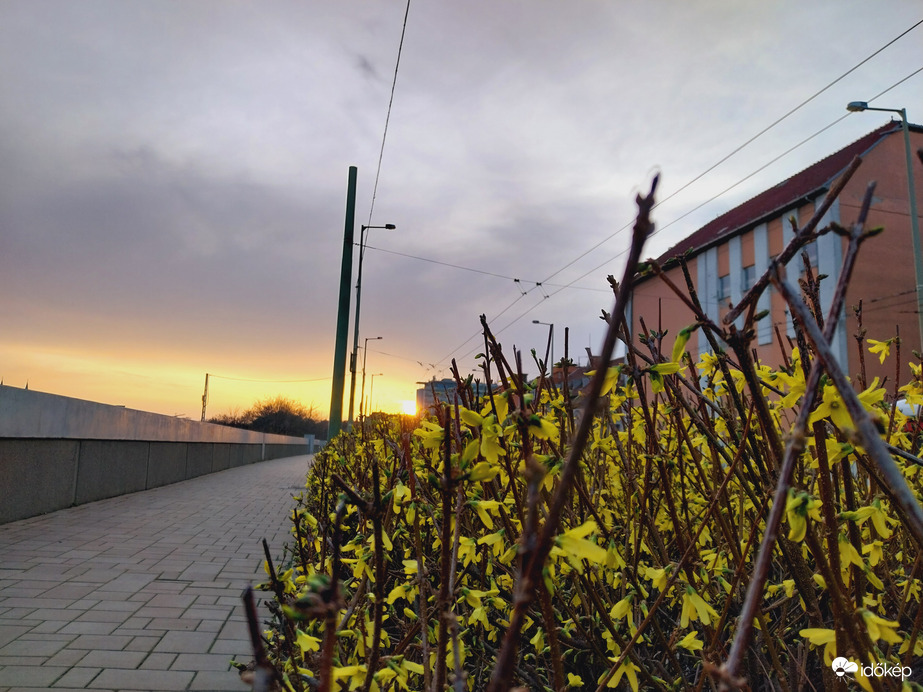 Szeged este.
