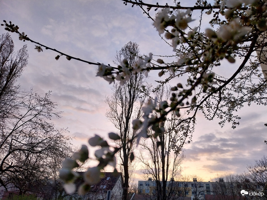 Szeged most.