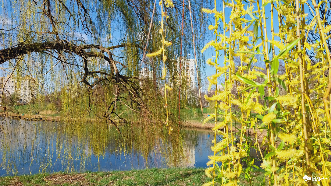 Szeged délután.