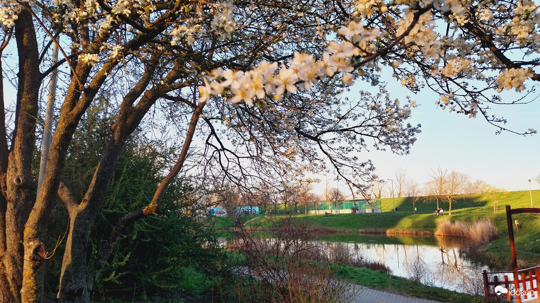 Szeged délután.