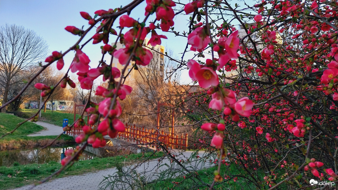 Szeged délután.