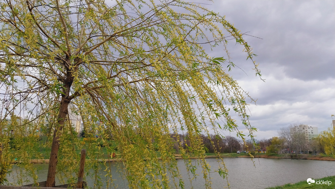 Szeged most.