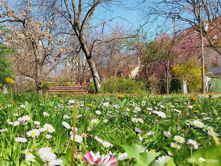 Szeged most.
