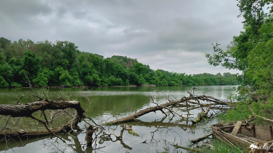 Körtvélyes délután.