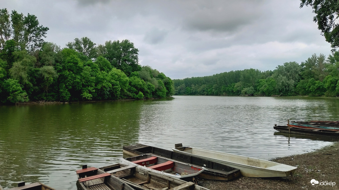 Körtvélyes délután.