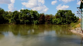 Algyő 