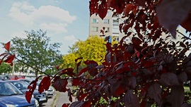 Szeged