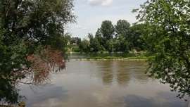 Szeged