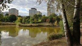 Szeged