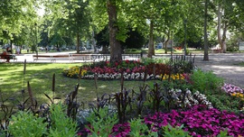 Szeged