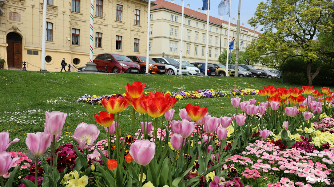Szeged